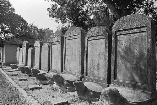 Lịch Sử 7 Kết nối tri thức Bài 17: Đại Việt thời Lê sơ (1428 - 1527)
