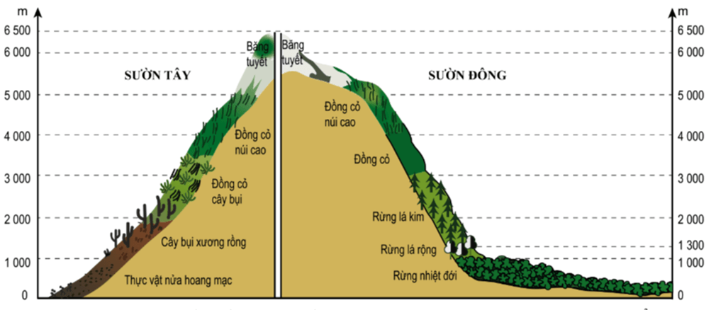 Địa Lí 7 Kết nối tri thức Bài 16: Đặc điểm tự nhiên Trung và Nam Mỹ