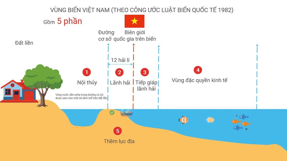 Địa Lí 8 Kết nối tri thức Bài 11: Phạm vi biển đông. Vùng biển đảo và đặc điểm tự nhiên vùng biển đảo Việt Nam