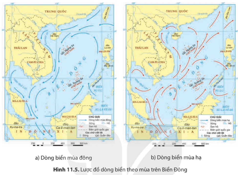 Địa Lí 8 Kết nối tri thức Bài 11: Phạm vi biển đông. Vùng biển đảo và đặc điểm tự nhiên vùng biển đảo Việt Nam