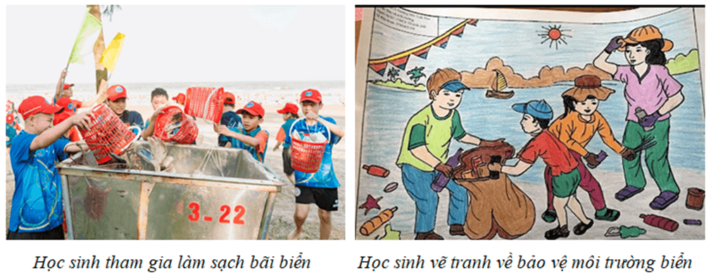 Địa Lí 8 Kết nối tri thức Bài 12: Môi trường và tài nguyên thiên nhiên biển đảo Việt Nam