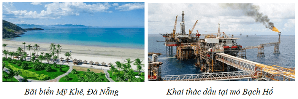 Địa Lí 8 Kết nối tri thức Bài 12: Môi trường và tài nguyên thiên nhiên biển đảo Việt Nam