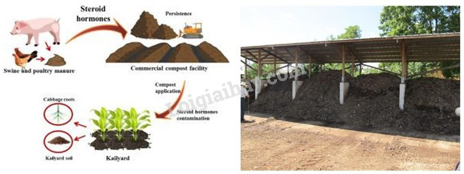 Hình 5: Địa lí 9 Kết nối tri thức - Bài 7: Thực hành: Viết báo cáo về một mô hình sản xuất nông nghiệp có hiệu quả