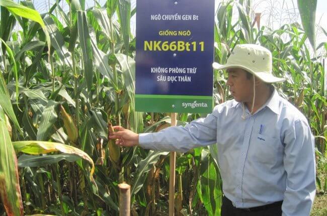 Hình ảnh minh họa SGK Sinh học 10