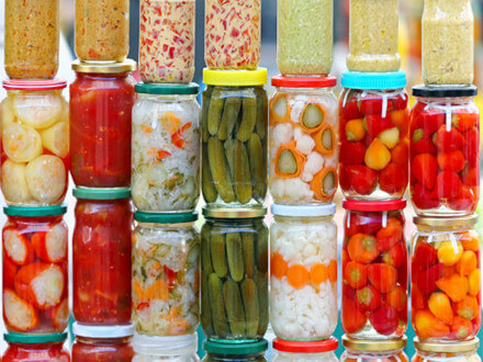 Hình ảnh minh họa SGK Sinh học 10
