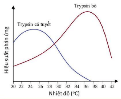 Hình ảnh minh họa SGK Sinh học 10