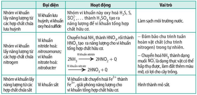 Hình ảnh minh họa SGK Sinh học 10