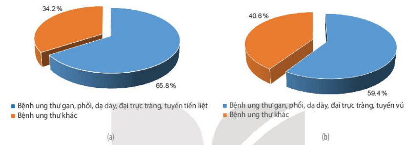 Hình ảnh minh họa SGK Sinh học 10