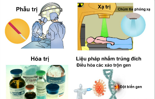 Hình ảnh minh họa SGK Sinh học 10