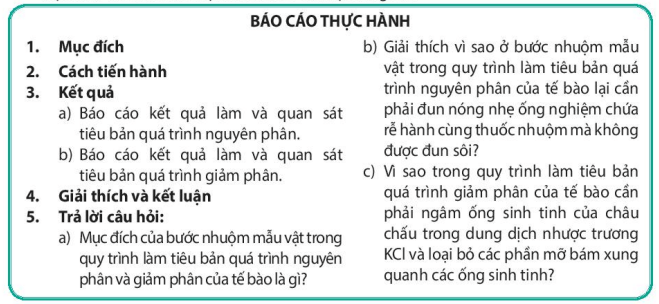 Hình ảnh minh họa SGK Sinh học 10