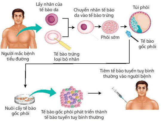Hình ảnh minh họa SGK Sinh học 10