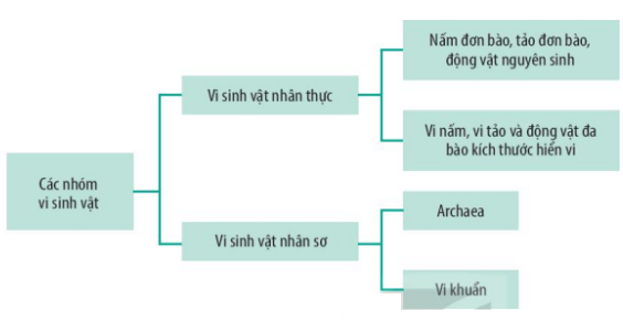 Hình ảnh minh họa SGK Sinh học 10
