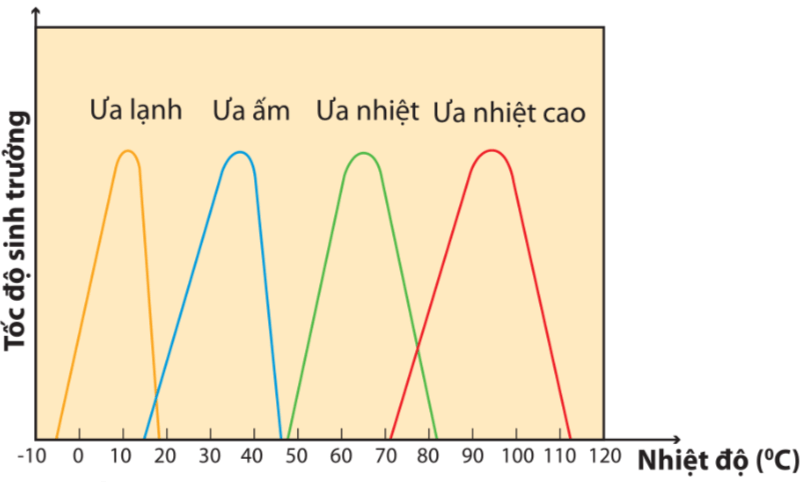 Hình ảnh minh họa SGK Sinh học 10