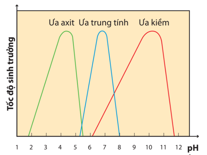 Hình ảnh minh họa SGK Sinh học 10
