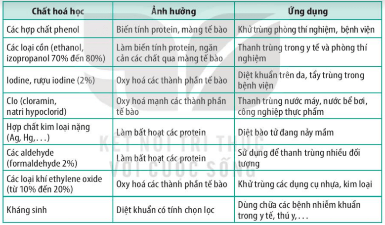 Hình ảnh minh họa SGK Sinh học 10