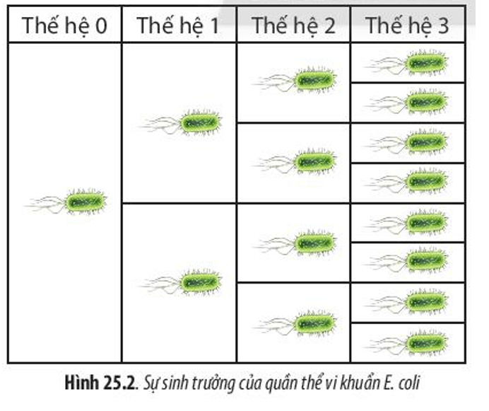 Hình ảnh minh họa SGK Sinh học 10