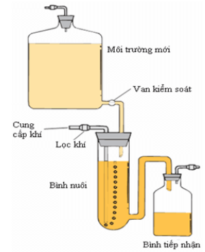 Hình ảnh minh họa SGK Sinh học 10