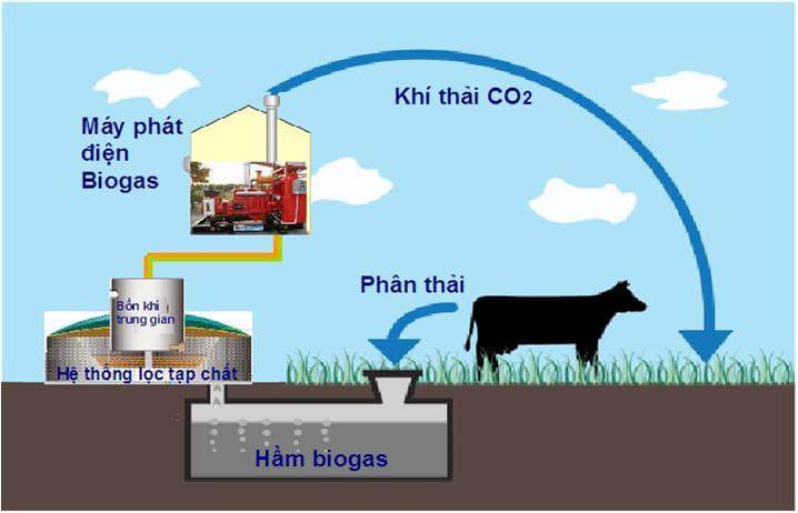 Hình ảnh minh họa SGK Sinh học 10