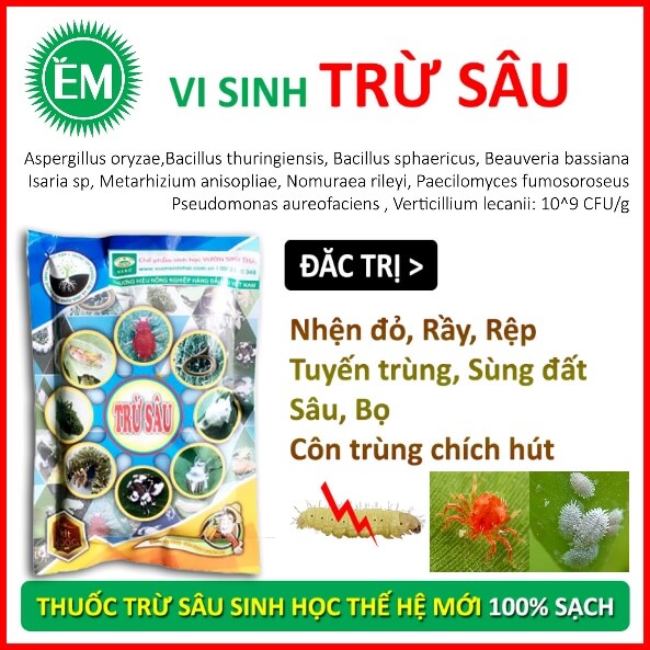 Hình ảnh minh họa SGK Sinh học 10