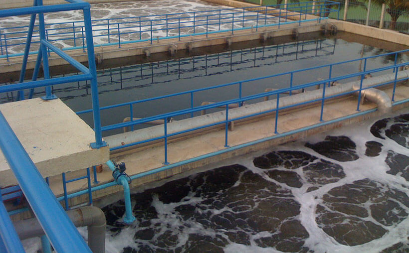 Hình ảnh minh họa SGK Sinh học 10