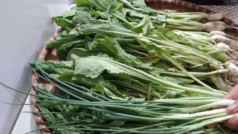 Hình ảnh minh họa SGK Sinh học 10