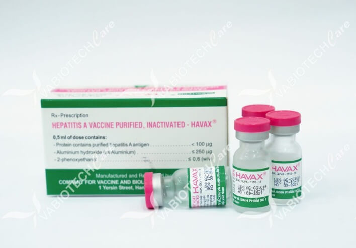 Hình ảnh minh họa SGK Sinh học 10
