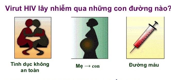 Hình ảnh minh họa SGK Sinh học 10