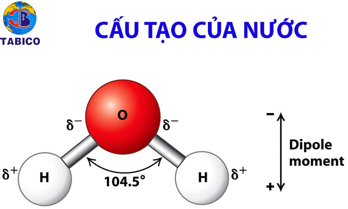 Hình ảnh minh họa SGK Sinh học 10