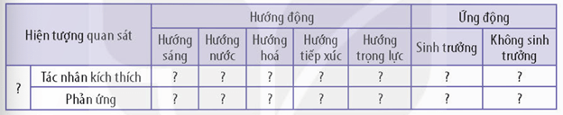 Cách bố trí thí nghiệm chứng minh tính hướng hoá