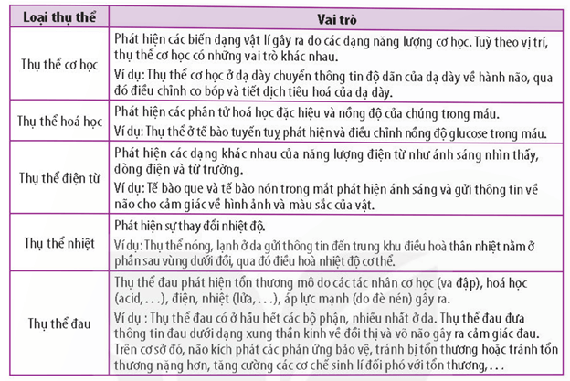 Cung phản xạ tuỷ