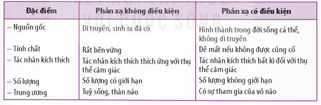 Cơ quan tiền đình (a) và tấm tế bào cảm giác trong các phình ống bán khuyên (b)