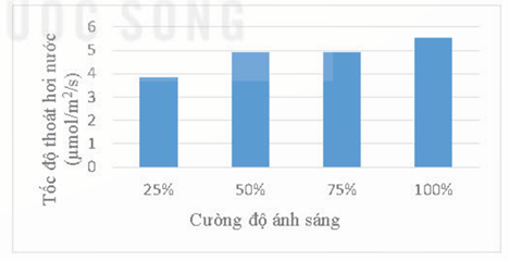 Hình ảnh minh họa SGK Sinh học 11