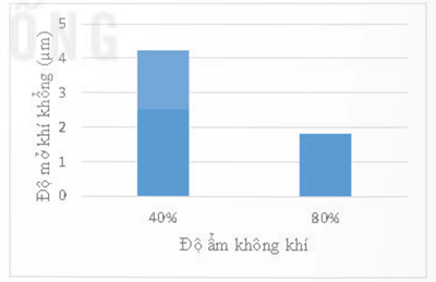 Nước hòa tan muối khoáng giúp rễ cây hấp thụ