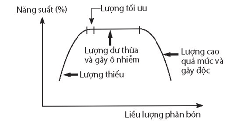 Hình ảnh minh họa SGK Sinh học 11