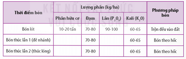 Mối quan hệ giữa phân bón và năng suất cây trồng