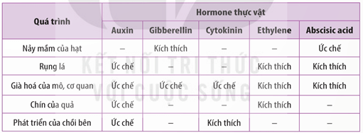 Ethylen làm chín trái cây
