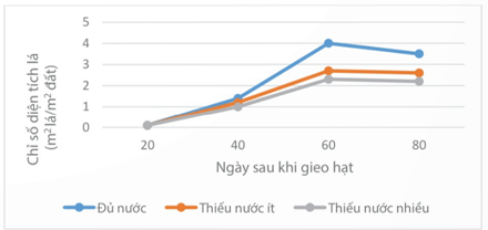 Các cây thân gỗ lâu năm có sự gia tăng chiều cao cây, đường kính thân trong suốt chu kì sống của nó