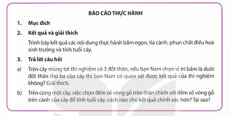 Vòng gỗ hằng năm