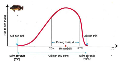 Hình ảnh minh họa SGK Sinh học 11