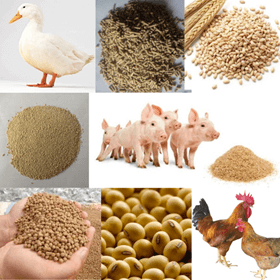Một số thay đổi đổi rõ rệt về thể chất và tâm sinh lí