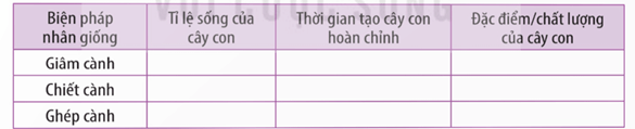 Các bước thụ phấn cho cây ngô