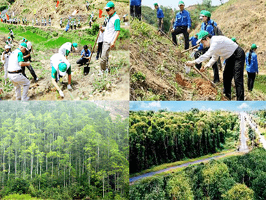 Một số ngành nghề trong trồng trọt, chăn nuôi, thú y