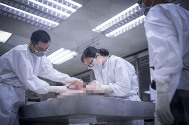 Ứng dụng trong nâng cao thành tích thi đấu