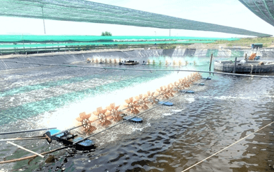 Một số ngành nghề trong y – dược học