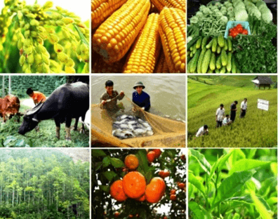 Một số ngành nghề trong nuôi trồng thủy sản