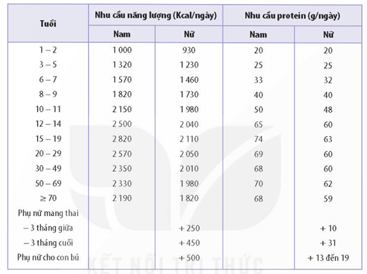 Cấu tạo của ruột non, lông ruột và tế bào niêm mạc ruột