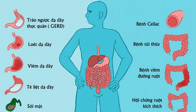 Thực phẩm sạch