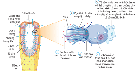 Hổ ăn mồi