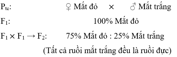 Hình ảnh minh họa SGK Sinh học 12