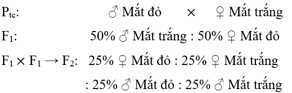 Hình ảnh minh họa SGK Sinh học 12